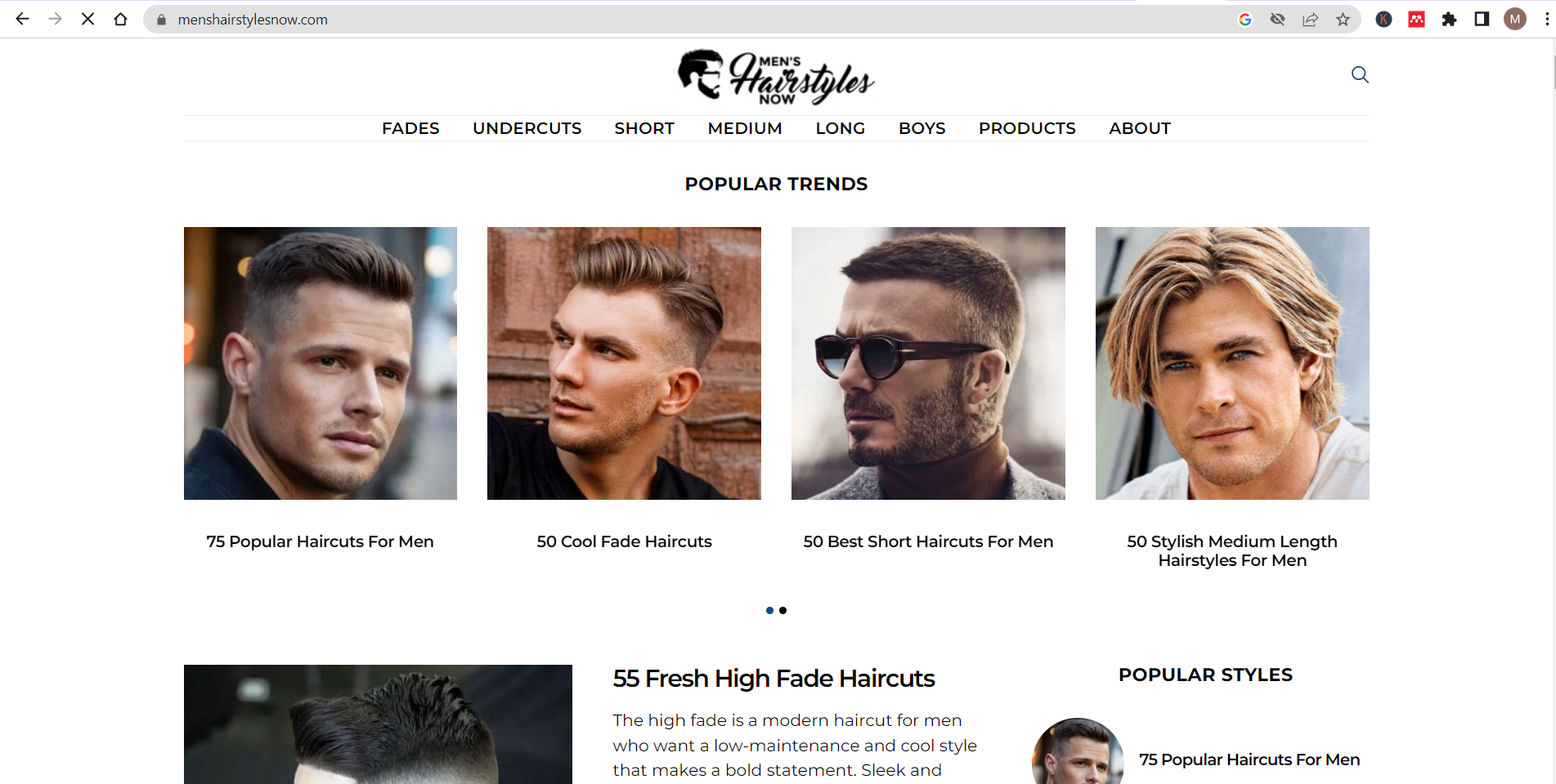 نمونه کار طراحی سایت استایل موی مردانه